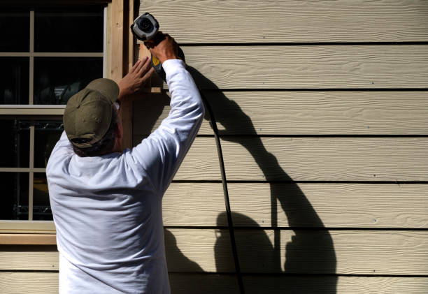 Best Custom Trim and Detailing for Siding  in Monument, CO